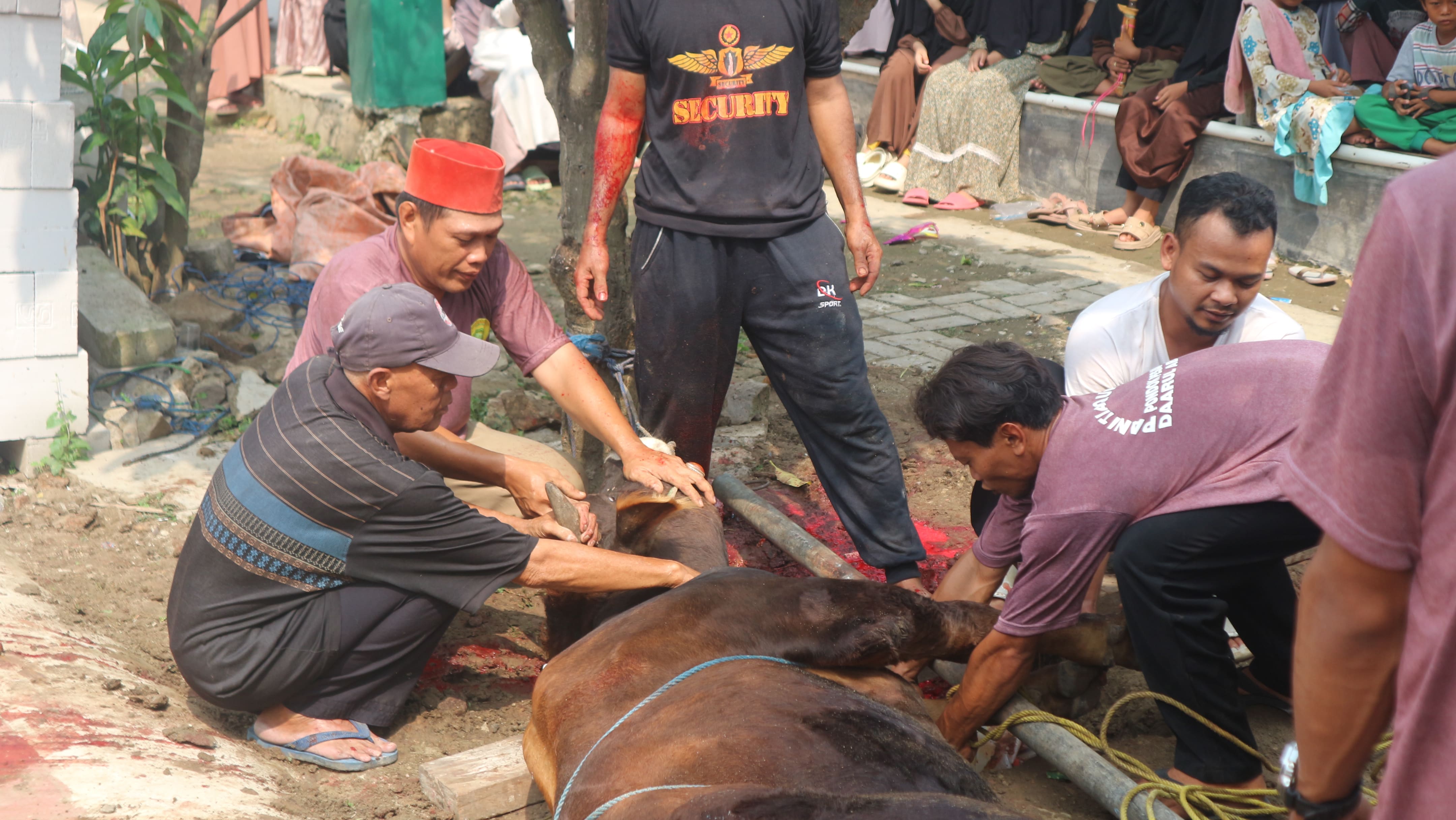 Dokumentasi Idul Qurban