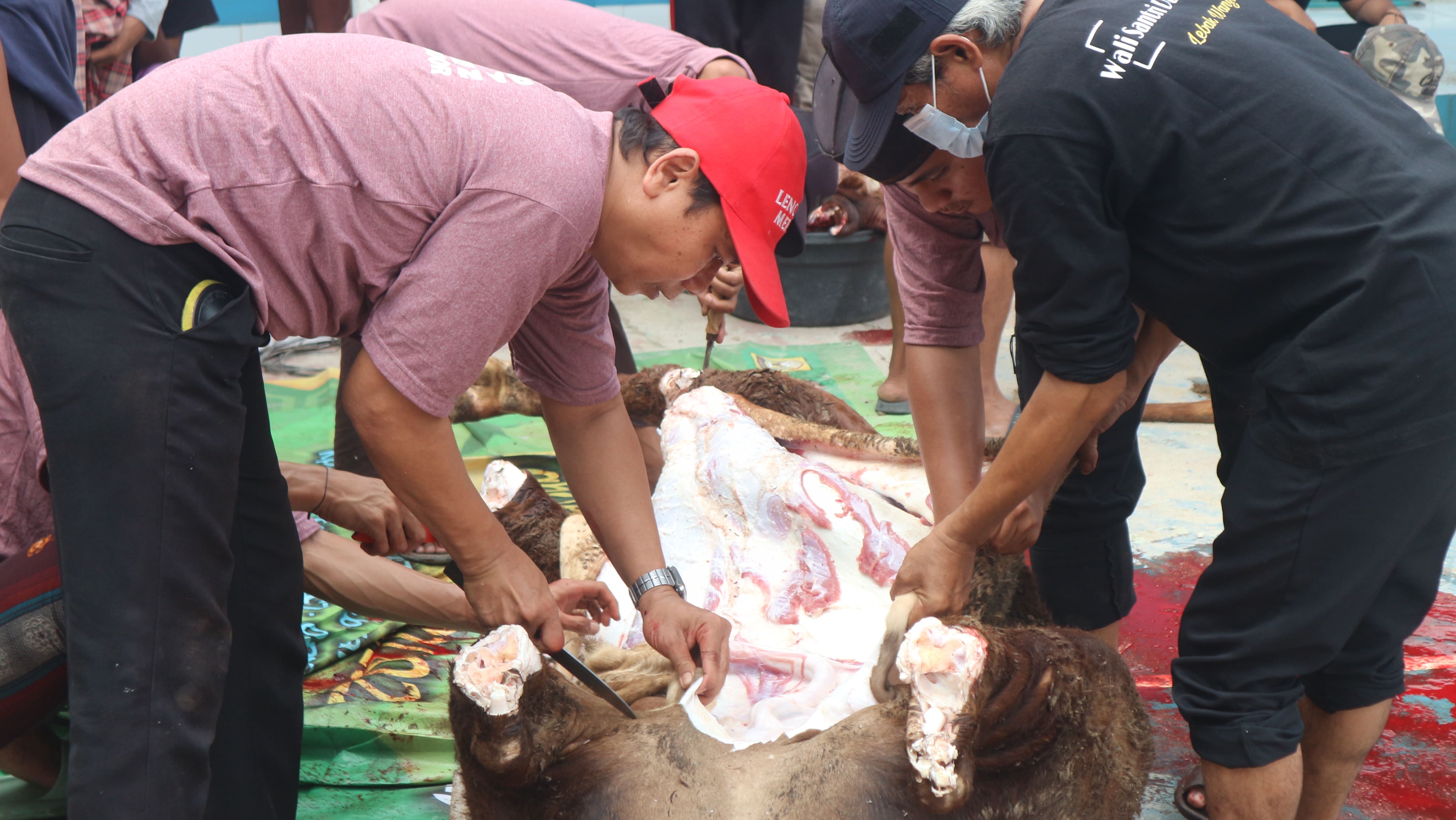 Dokumentasi Idul Qurban